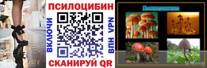 Галлюциногенные грибы ЛСД  Новоалтайск 