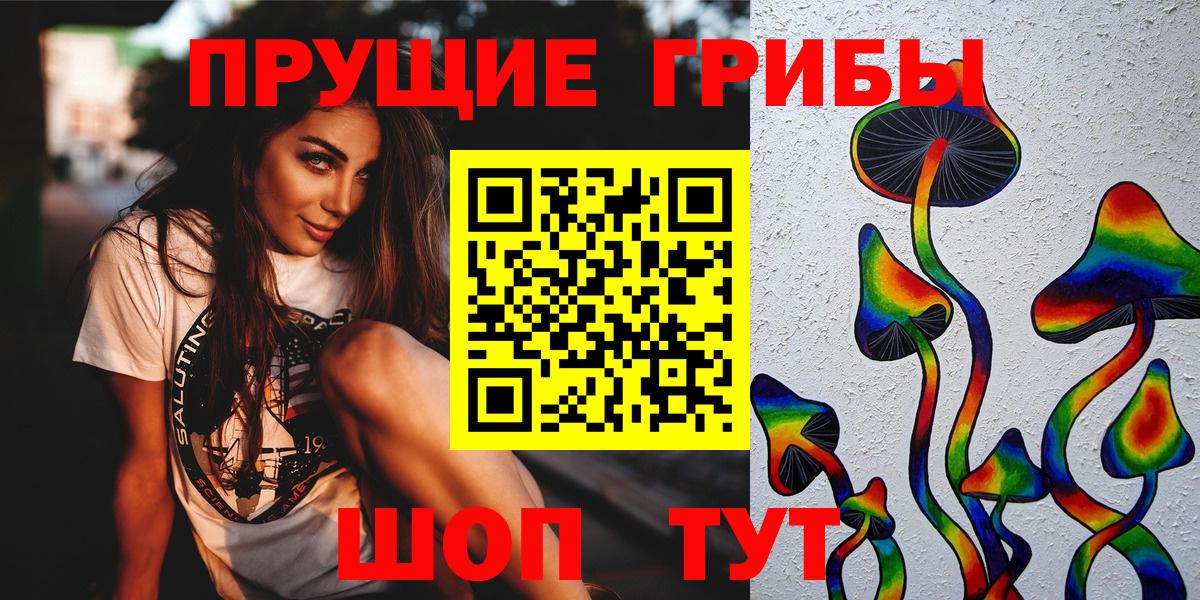 Псилоцибиновые грибы GOLDEN TEACHER  продажа наркотиков  Новоалтайск  Вход с VPN 