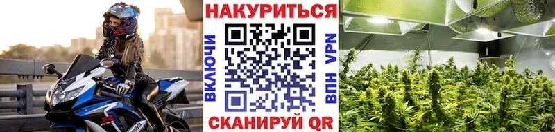 купить  цена  Новоалтайск  Шишки марихуана индика 